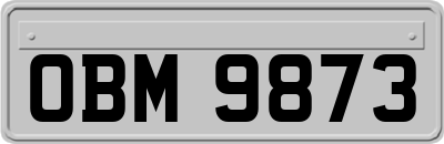 OBM9873