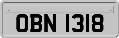 OBN1318