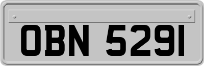 OBN5291