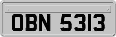 OBN5313