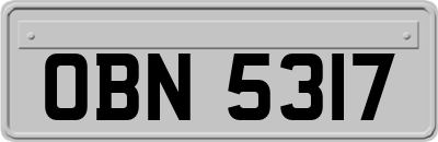 OBN5317