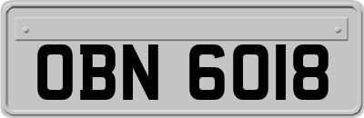 OBN6018