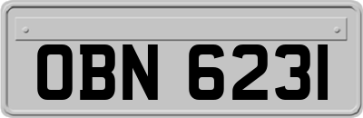 OBN6231