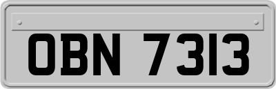 OBN7313