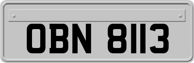 OBN8113