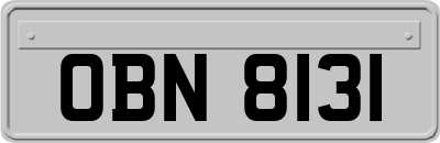 OBN8131