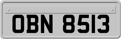 OBN8513