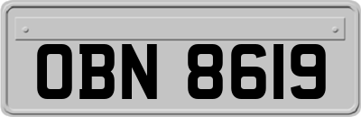 OBN8619