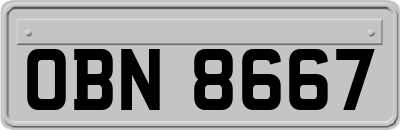 OBN8667