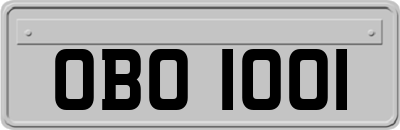 OBO1001