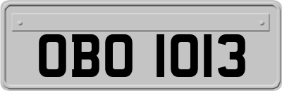 OBO1013