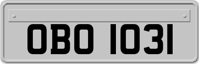 OBO1031
