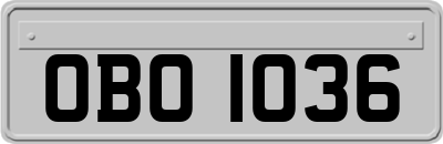 OBO1036