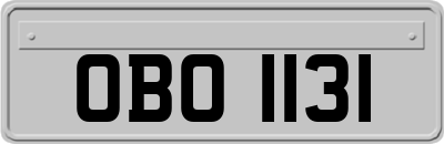 OBO1131