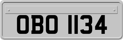 OBO1134