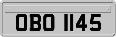OBO1145