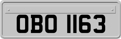 OBO1163