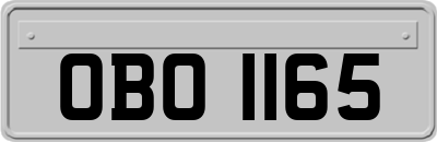 OBO1165
