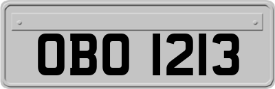 OBO1213