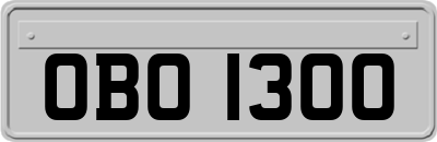 OBO1300