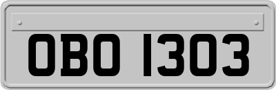 OBO1303
