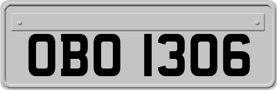 OBO1306