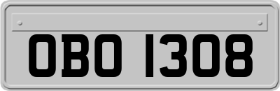 OBO1308