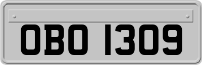 OBO1309