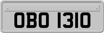 OBO1310