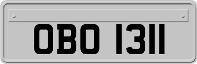 OBO1311