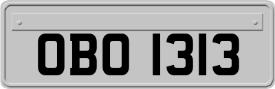 OBO1313