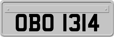 OBO1314
