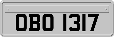 OBO1317
