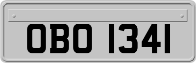 OBO1341
