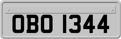 OBO1344