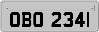 OBO2341
