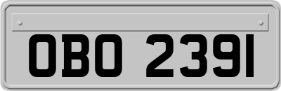 OBO2391