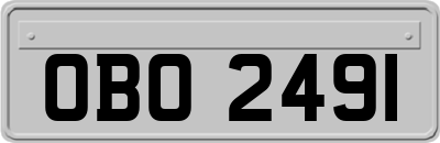 OBO2491
