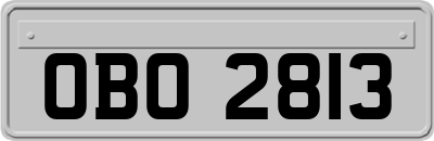OBO2813