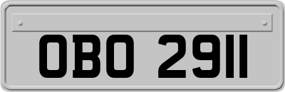 OBO2911