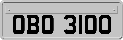 OBO3100