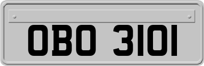 OBO3101