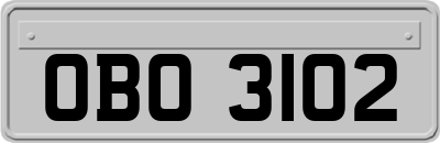 OBO3102