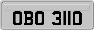 OBO3110