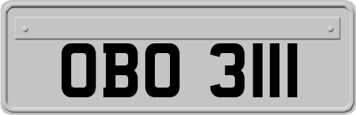 OBO3111