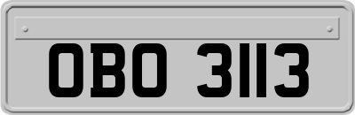 OBO3113
