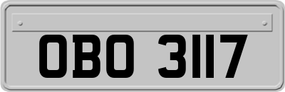 OBO3117