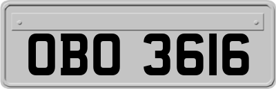 OBO3616