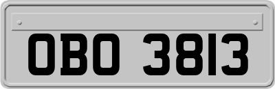 OBO3813