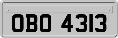 OBO4313